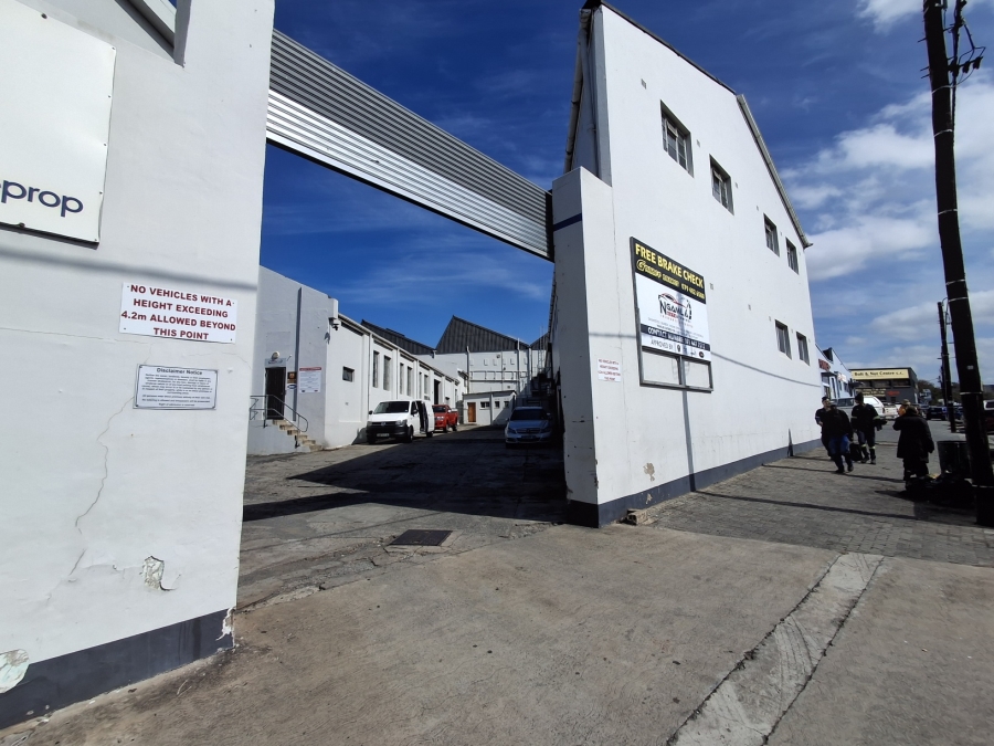 To Let Commercial Property for Rent in Arcadia Eastern Cape